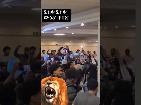 #bergednhamedu #holland #wufuy