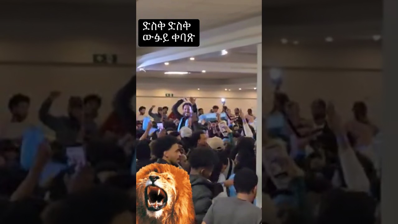 Explore Bergen, Holland 🇳🇱