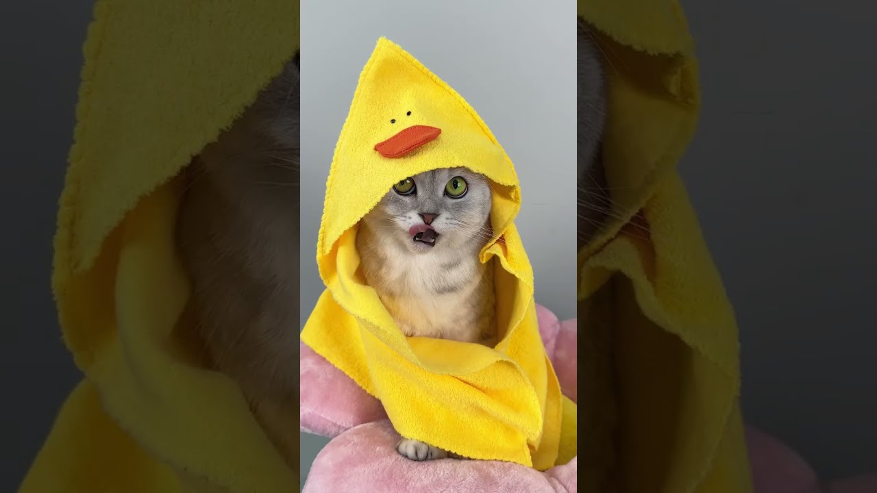 Relaxing Spa Day 🌿