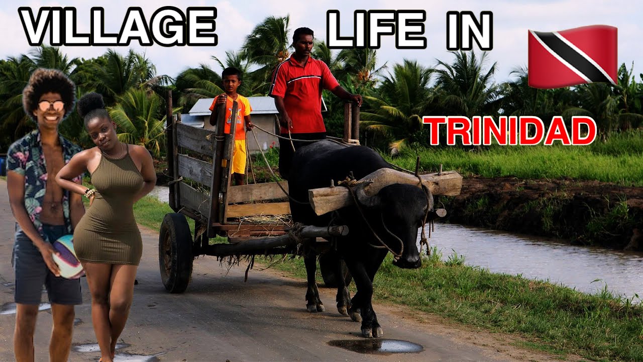 Village Life in Trinidad & Tobago Revealed 🇹🇹