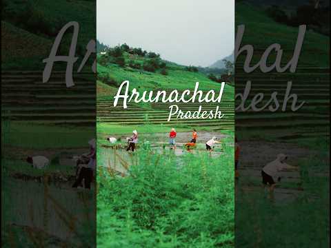 Arunachal Pradesh – Chug Valley | Traveling Mondays