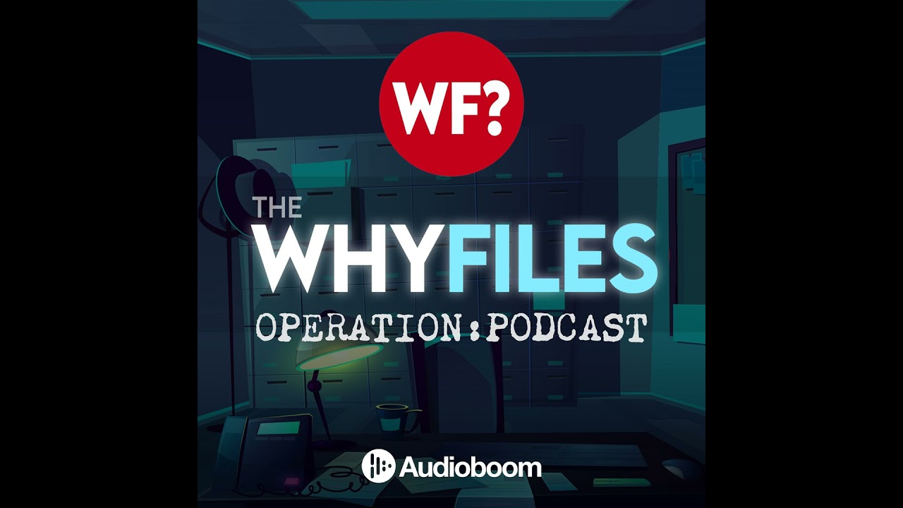 539: Deep Dive into UFOs & Time Travelers with Sergei Ponomarenko & Rudolph Fentz 🚀