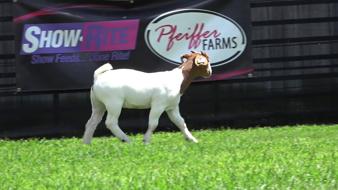 lot 17 Lot 17 - June 24, 2019 Overview