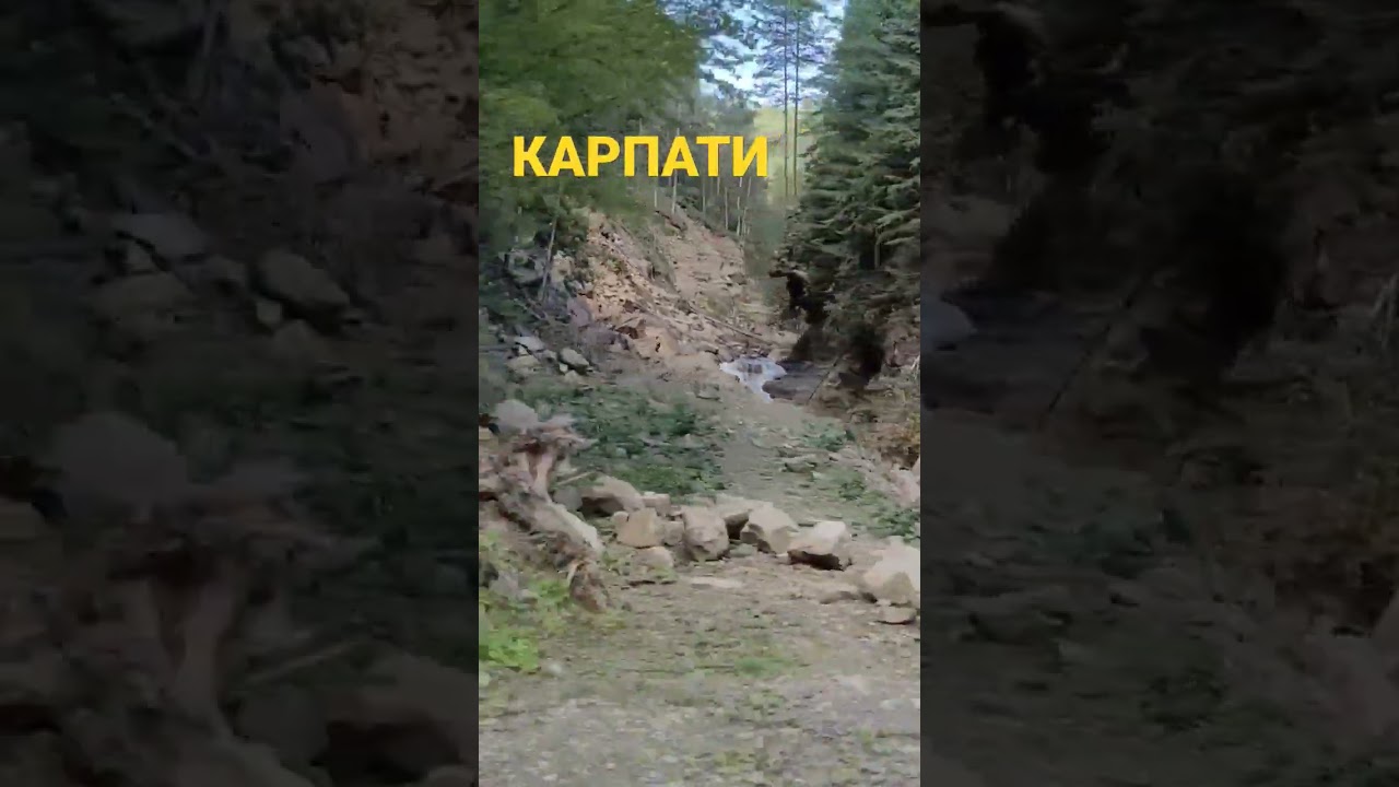 Explore Ukraine's Carpathians 🇺🇦