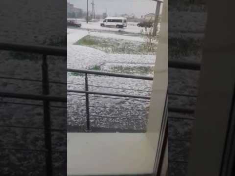 Чита Забайкальский край 5 июня