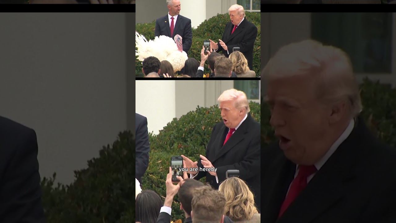 Trump Pardons Gobble for Thanksgiving 🦃