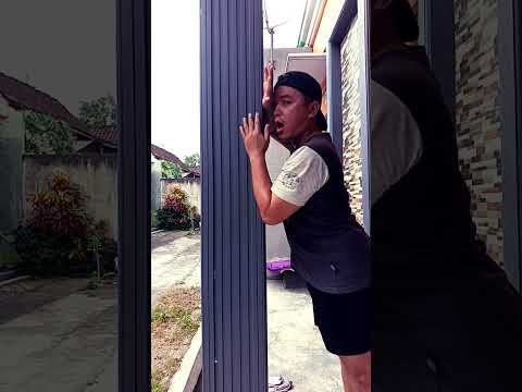 main petak umpet #cat #mainpetakumpet #funny #cute