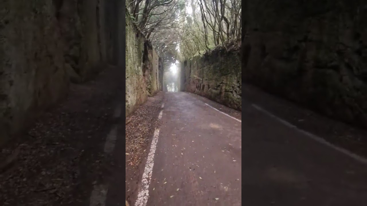 Discover Anaga Park 🌿 in Tenerife