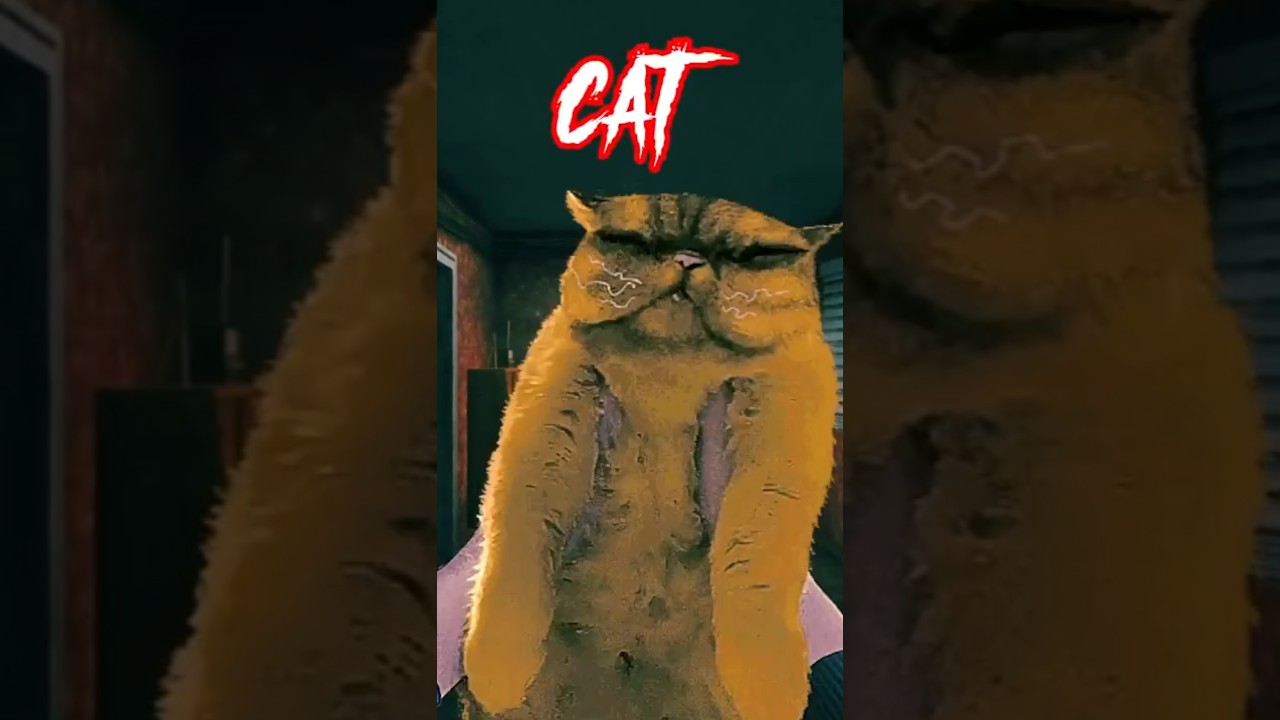 The Crazy Secret of the Cat in No, I'm NOT a Human 🐱