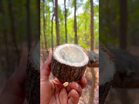 Making a camp cook stove/emergency heater with charcoal & alcohol #camping #survival #lifehacks