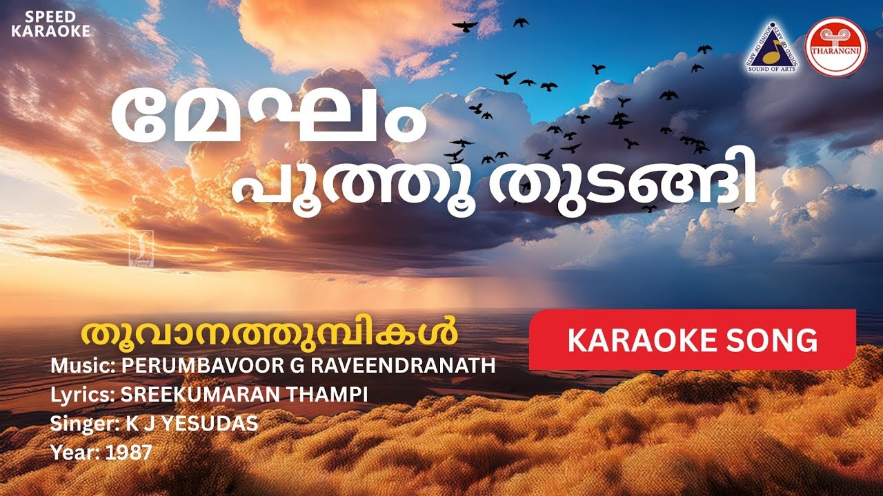 മേഘം പൂത്തു തുടങ്ങി - തൂവാനത്തുമ്പികൾ 🎶