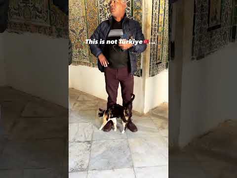 Tunisia 🇹🇳🤗 #africa #travelvlog #tunisia #bucketlist #hiddengems