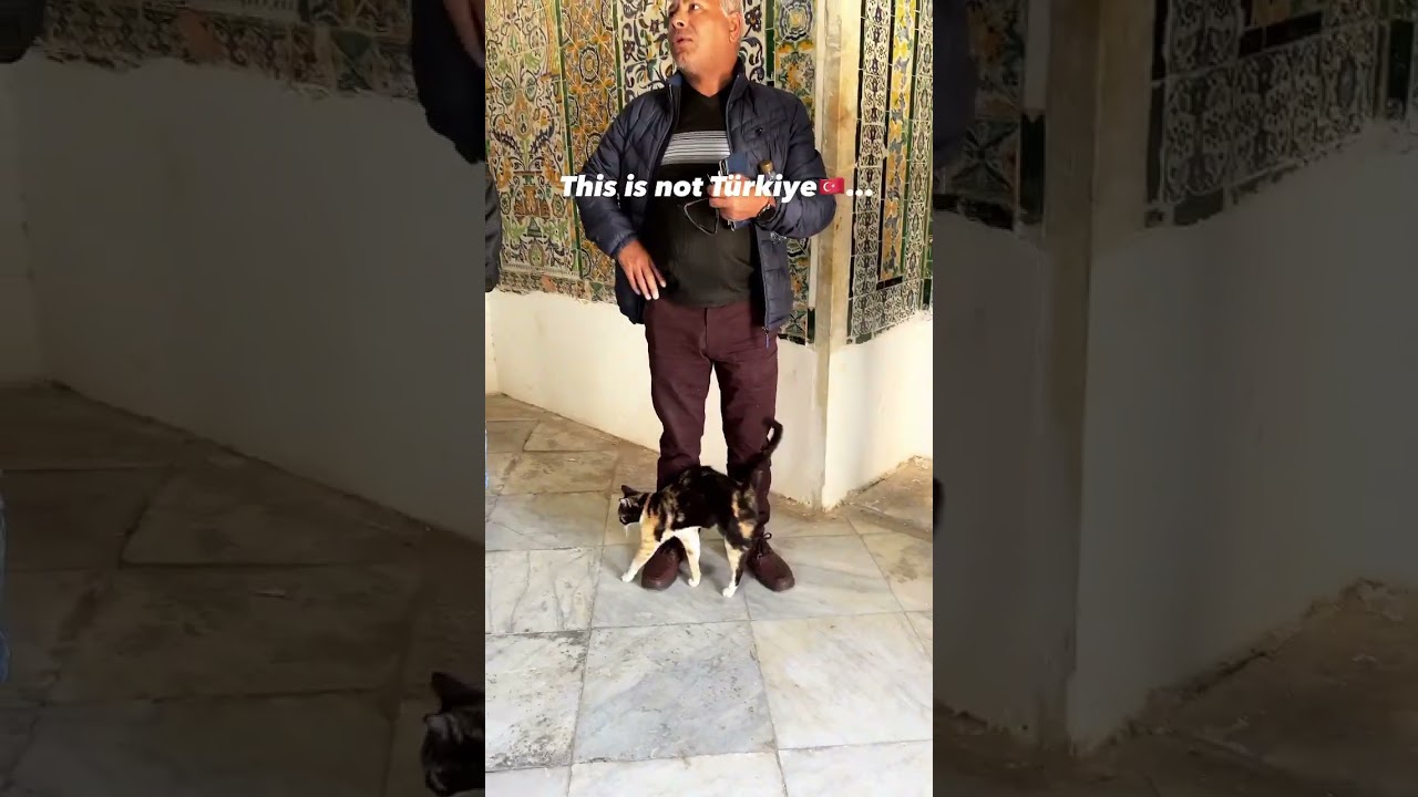 Discover Tunisia's Hidden Gems 🇹🇳 | Ultimate Travel Vlog