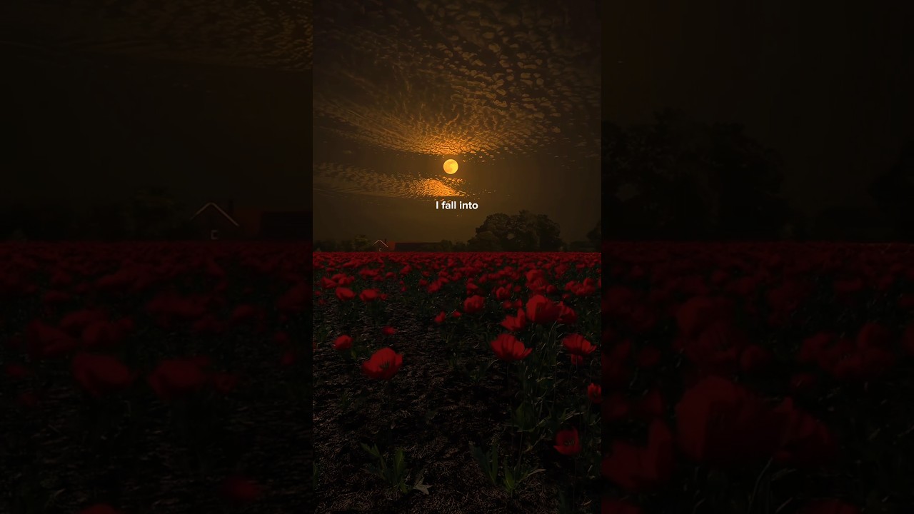 Until I Found You by Stephen Sanchez 🎶 | Aesthetic Lyrics & WhatsApp Status