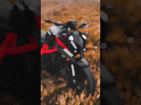 KTM Duke 39T #duke sl#ktm #rider #viralvideo #trending #status #990 #890 #790 #650#490 #450 #390#250