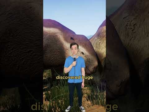 Return of the giants #comedy #music #parody of #dropitlikeitshot by #snoopdogg #00smusic