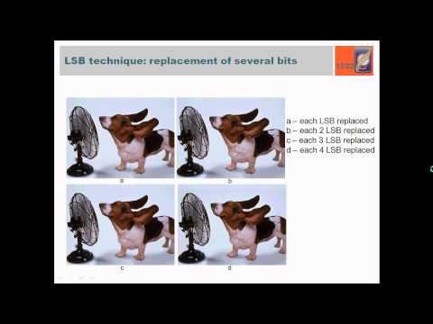 Steganography: Digital Data Embedding Techniques Overview (Scientist.by Webinars)