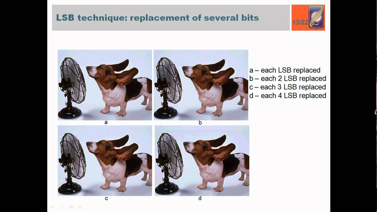Unlocking Secrets: Advanced Digital Steganography Techniques 📁