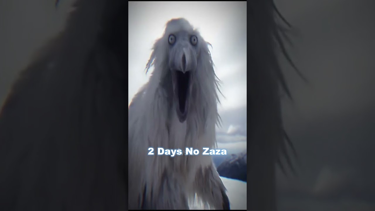 Erosion Bird Zaza: The Mysterious Bird 🐦