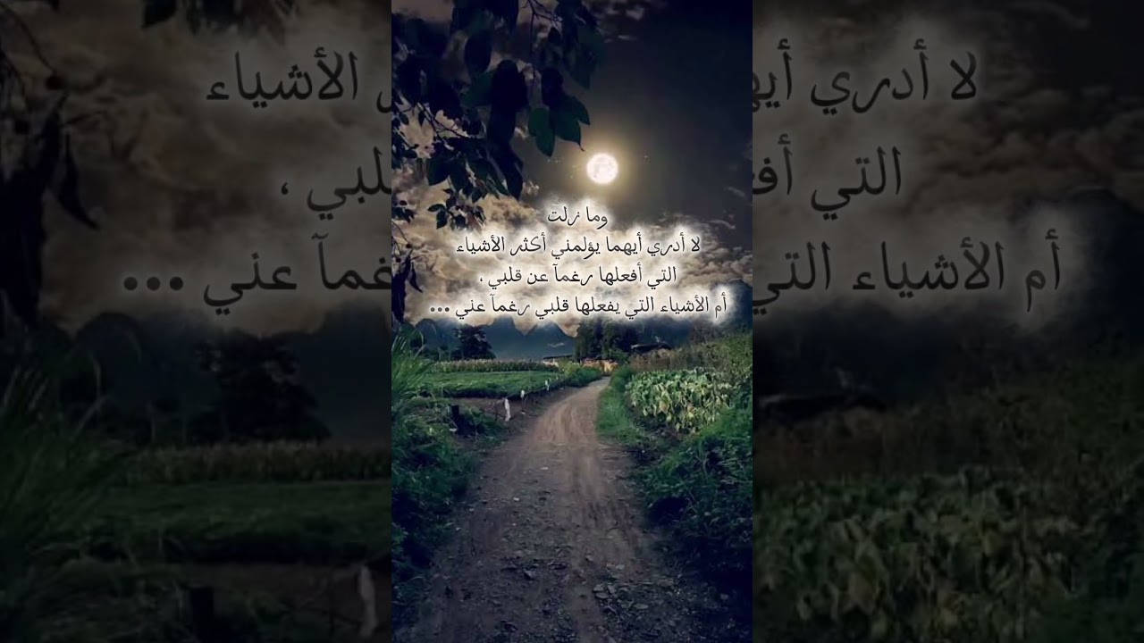 اقتباسات وحكم ملهمة لوسائط التواصل 📖