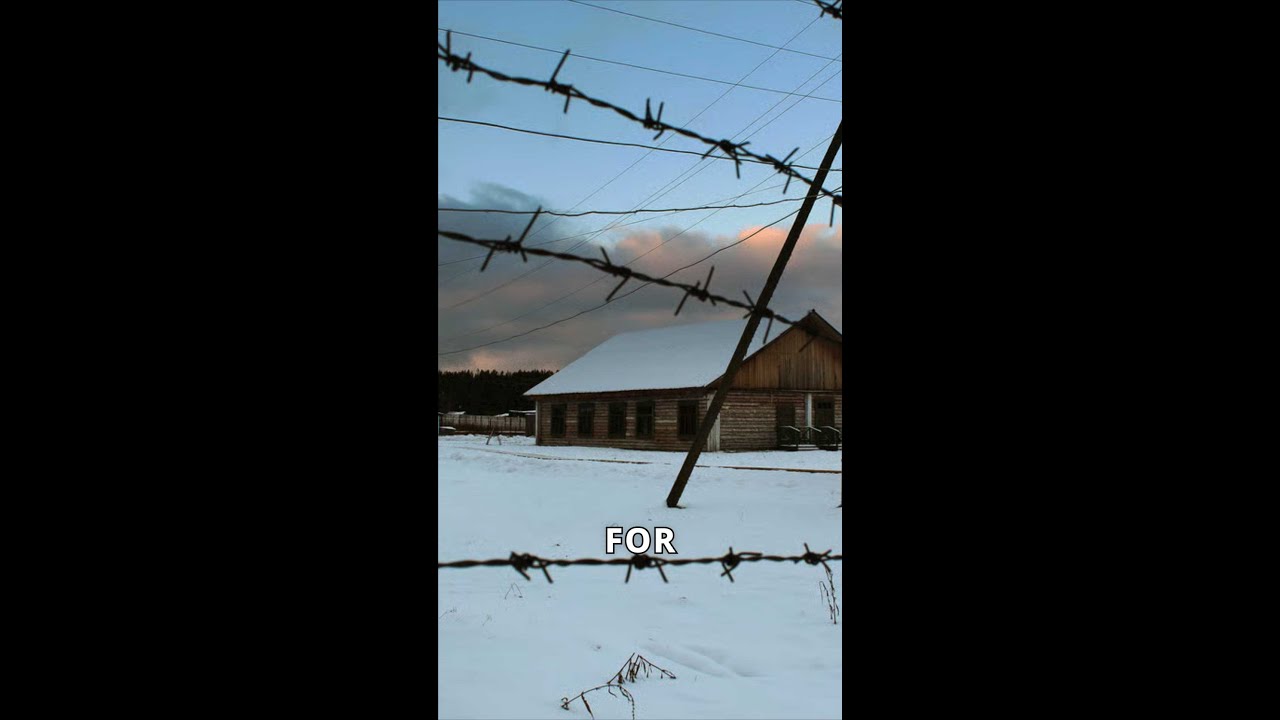 German POWs' Hidden Nightmare in Soviet Camps 🇷🇺