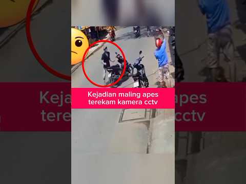MALING APES TEREKAM KAMERA CCTV #shorts