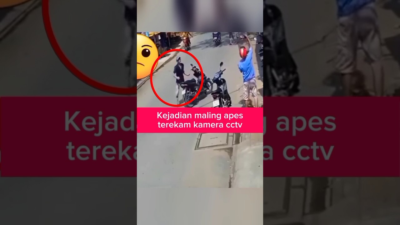 Maling Apes Terekam Kamera CCTV #shorts