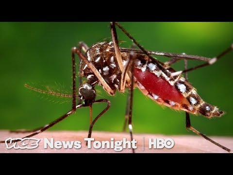 Malaria Vaccine & Deepfake Videos | VICE News Tonight Full Episode