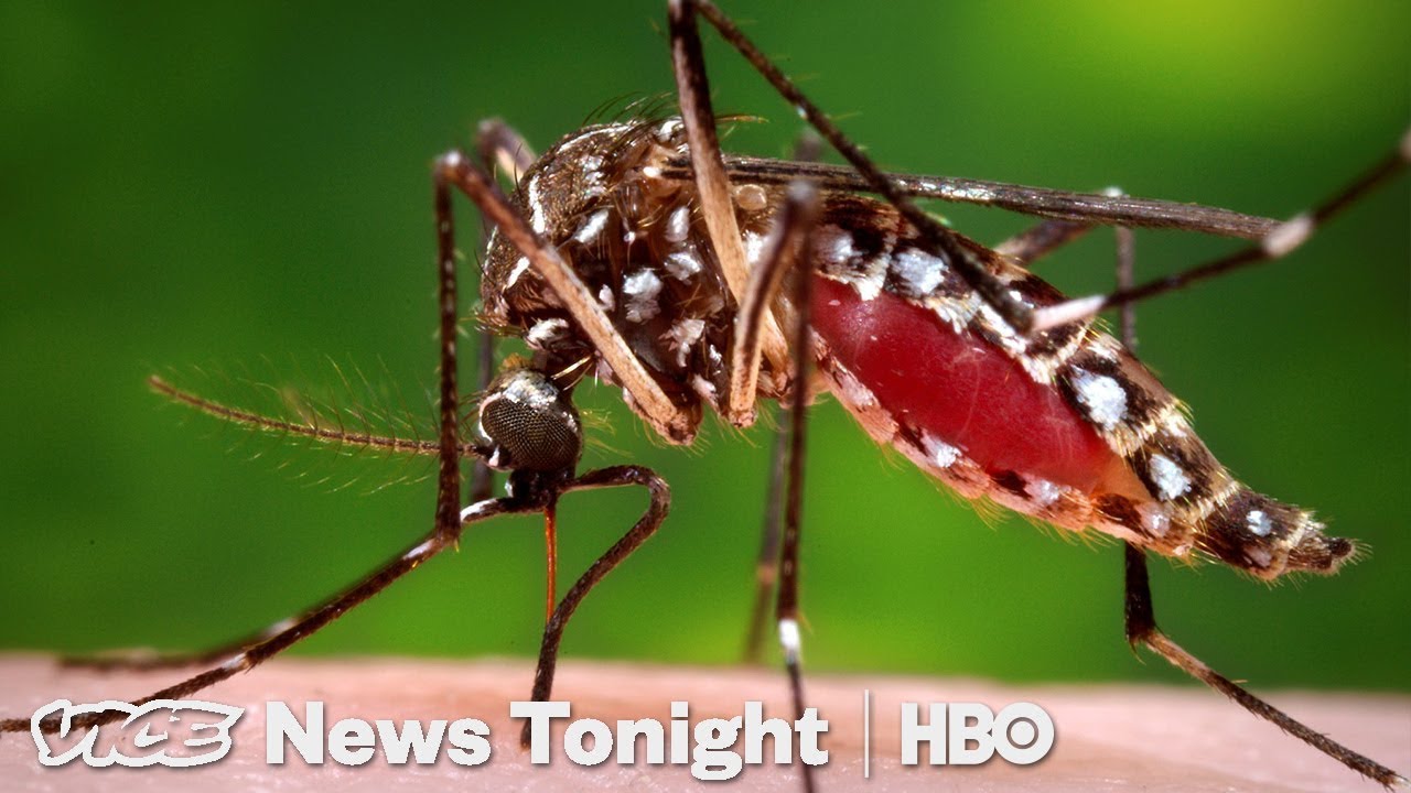Malaria Vaccine Breakthrough & Deepfake Concerns | VICE News Tonight (June 13, 2019)
