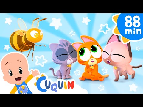 El gatito chiquitito quiere ser una abejita 😺🐝 y más canciones infantiles para bebés con Cleo y Cuqu