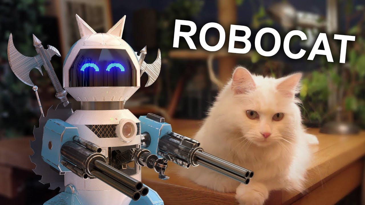ROBOCAT : Le robot pour chat avec Plume 🐱