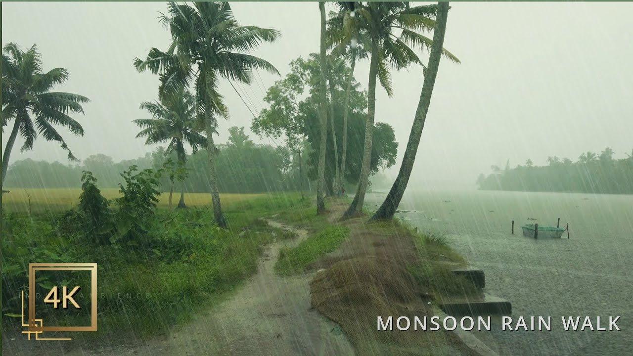 Monsoon Rain Walk in a Scenic Kerala Village | ASMR Rain Sounds for Deep Sleep