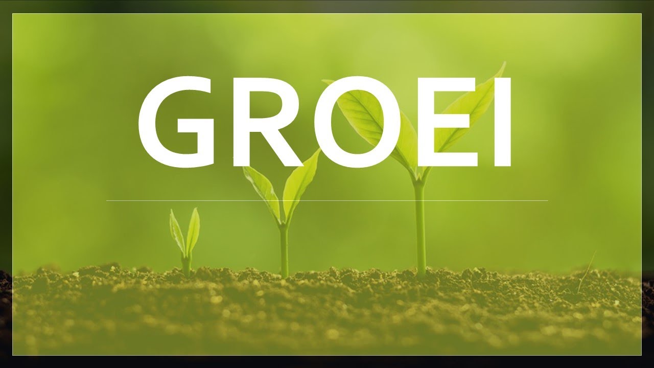 Groei: Ontdek de Kracht van Groei en Ontwikkeling