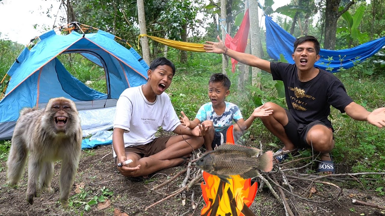 Camping di Hutan dan Membuat Api Unggun 🏕️