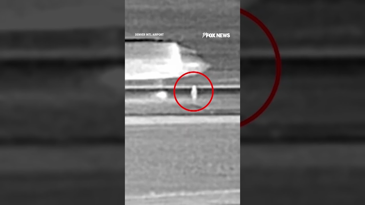 Run onto Denver Airport Runway, Fatally Hit ✈️