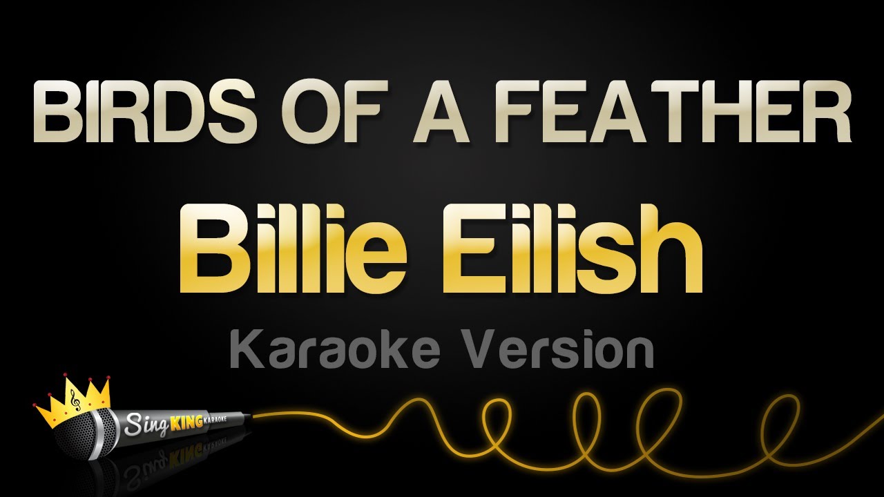 Sing Along to Billie Eilish's 'BIRDS OF A FEATHER' Karaoke 🎤