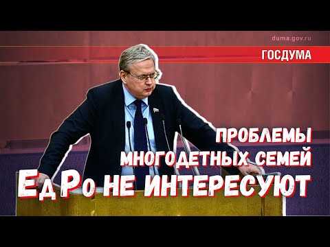 Деньги на поддержку многодетных есть. Нет интереса к этой проблеме у ЕР