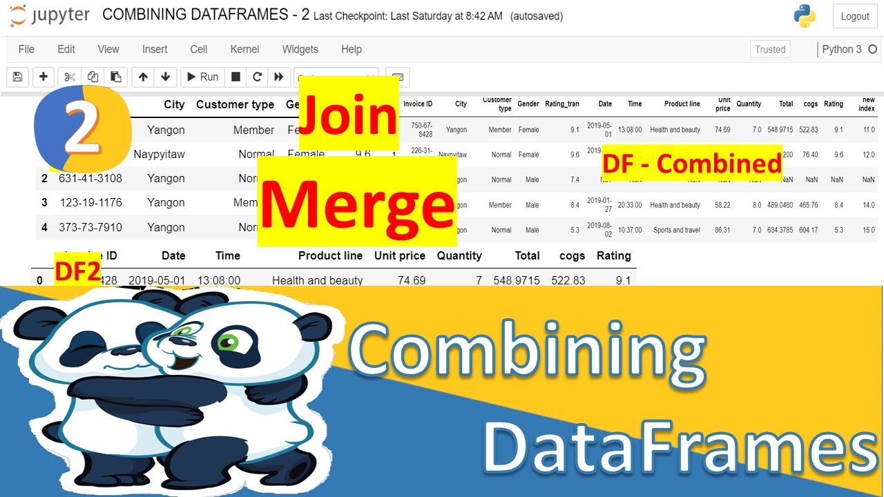 Merge Pandas DataFrames Side by Side 🐼