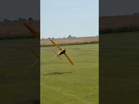 Tomas is a big scale guy. 😅 | SAVE $130 on the E-flite Carbon-Z T-28 Trojan 2.0m BNF Basic