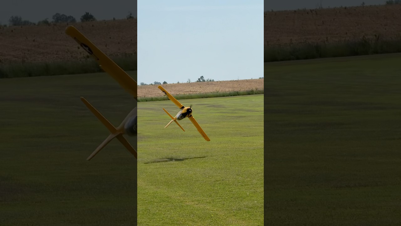 Big Scale Enthusiast? Save $130 on the E-flite Carbon-Z T-28 Trojan 2.0m BNF! 🎉