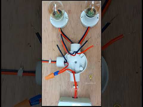 👷One Gang switch with Two lights Wiring #electricalwiring #wiring #electrical #camtips1 #asmr #diy