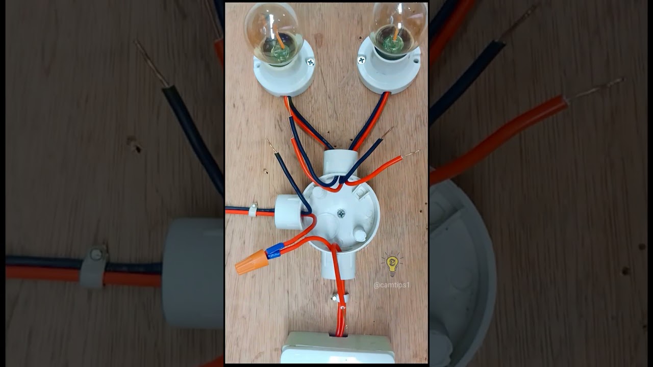 How to Wire a One-Gang Switch for Two Lights | DIY Electrical Guide 💡