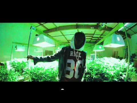Wiz Khalifa - Greenhouse Cafe (2014) πΆ