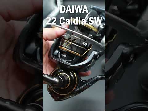 DAIWA 2022 Caldia SW Quick Review