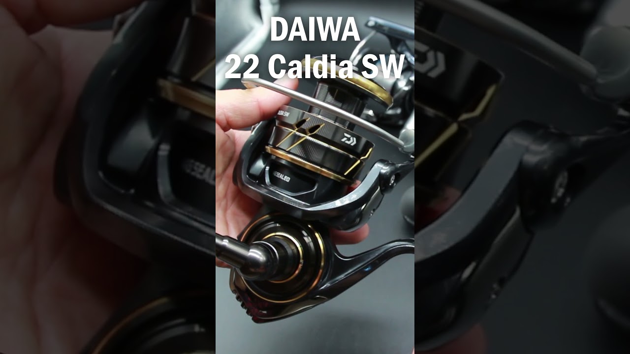 DAIWA Caldia SW 2022 Quick Review 🎣