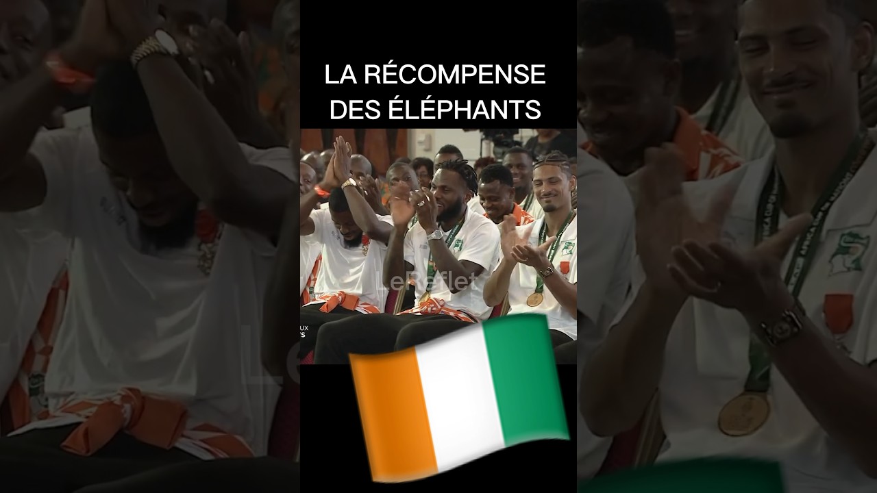 Récompenses pour les joueurs ivoiriens à la CAN 2023 🏆