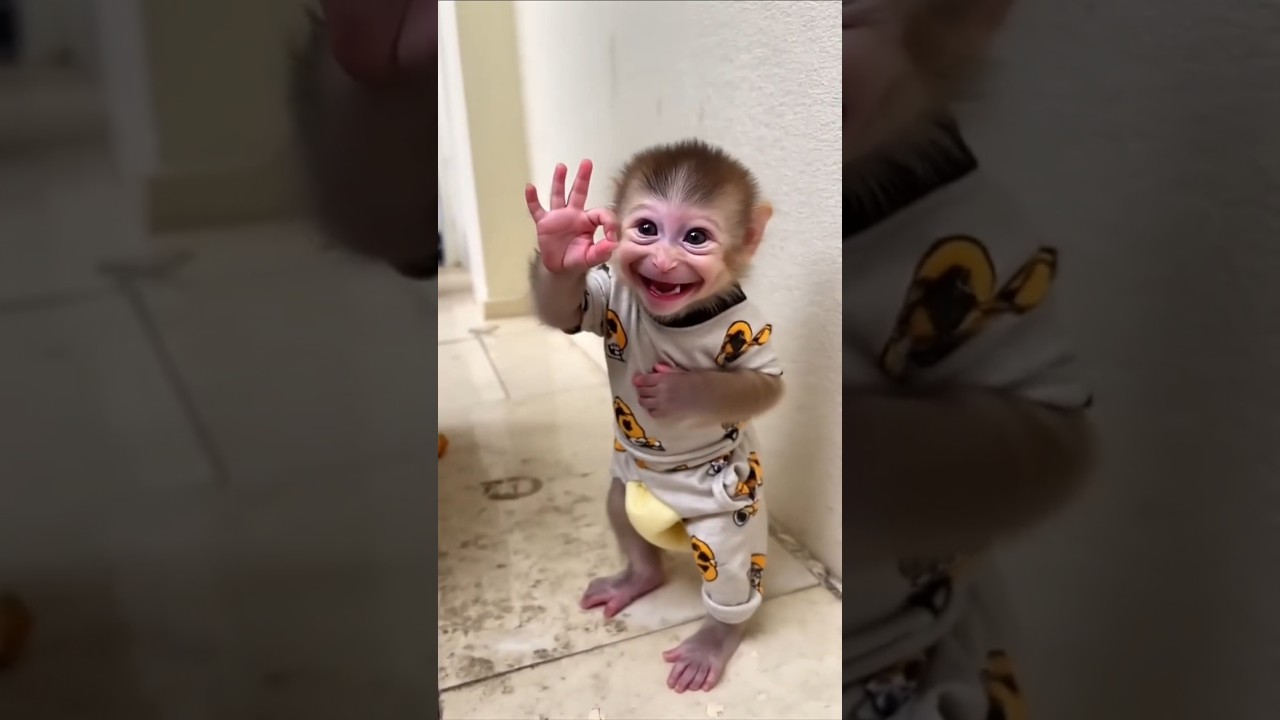 Hilarious Shaka Laka Boom Boom Moment! π | Must Watch Funny Shorts