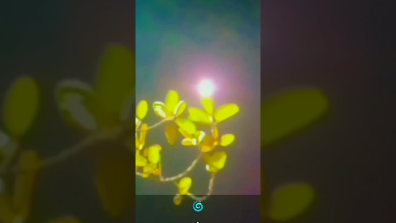 Chanda Re, Come Down to Earth 🌕