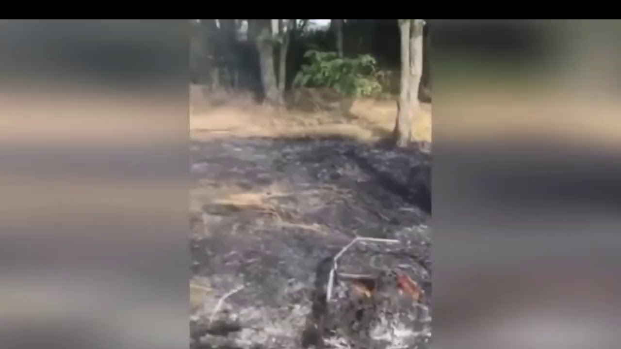 Прямая трансляция Просто Никита 🎥