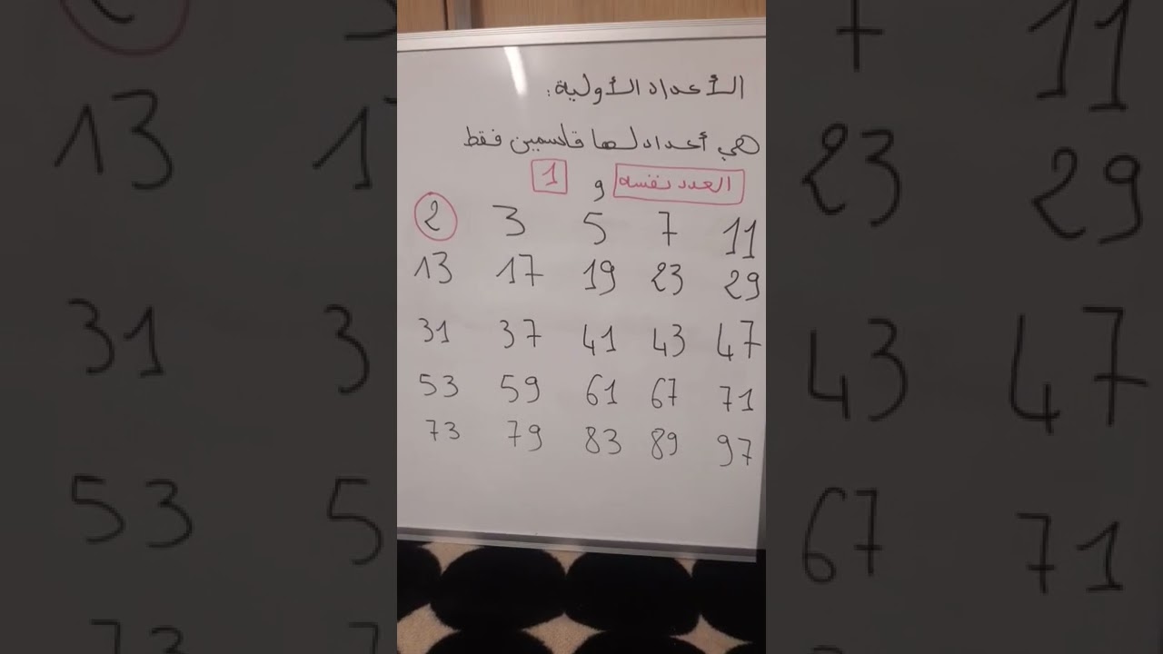 ما هي الأعداد الأولية؟ اكتشف خصائصها وأهميتها 🔢